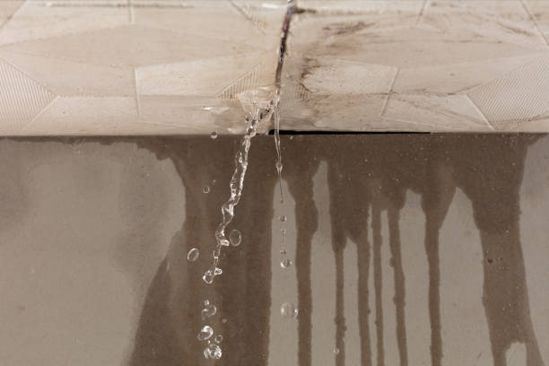 Professional Structural Drying technician working in Fowlerville, MI